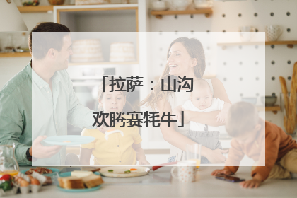 拉萨：山沟欢腾赛牦牛