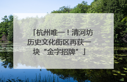 杭州唯一！清河坊历史文化街区再获一块“金字招牌”