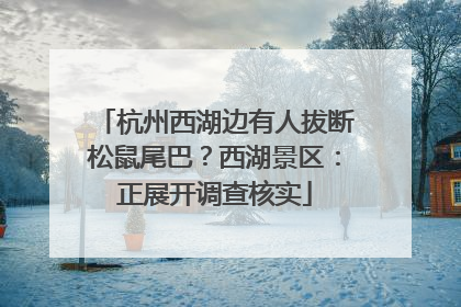 杭州西湖边有人拔断松鼠尾巴？西湖景区：正展开调查核实