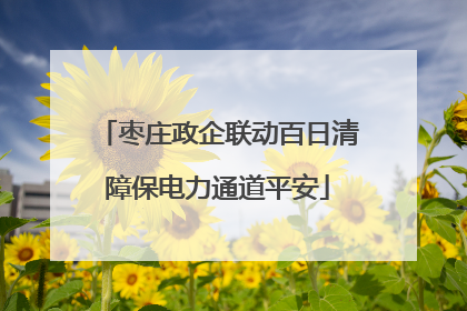 枣庄政企联动百日清障保电力通道平安