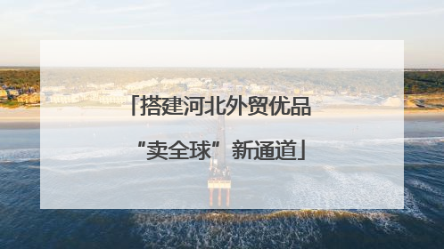 搭建河北外贸优品“卖全球”新通道