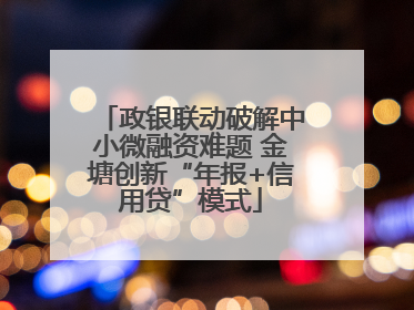 政银联动破解中小微融资难题 金塘创新“年报+信用贷”模式