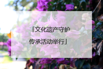 文化遗产守护传承活动举行