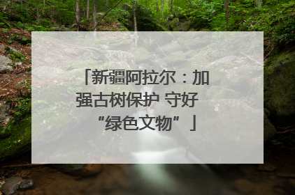 新疆阿拉尔：加强古树保护 守好“绿色文物”
