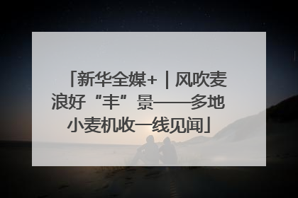 新华全媒+｜风吹麦浪好“丰”景——多地小麦机收一线见闻