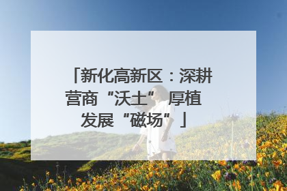 新化高新区：深耕营商“沃土” 厚植发展“磁场”