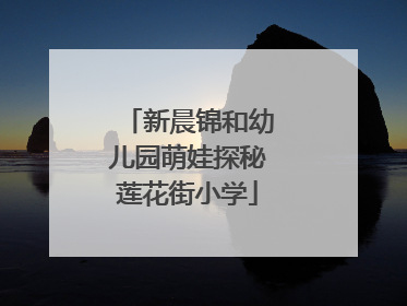新晨锦和幼儿园萌娃探秘莲花街小学