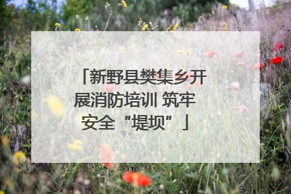 新野县樊集乡开展消防培训 筑牢安全“堤坝”