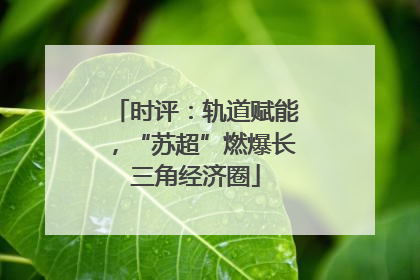 时评：轨道赋能，“苏超”燃爆长三角经济圈