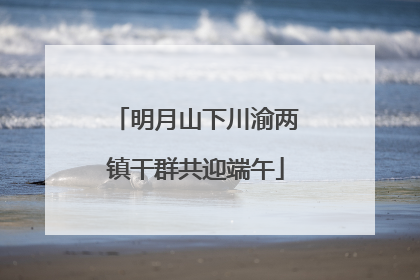 明月山下川渝两镇干群共迎端午