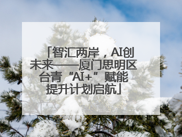 智汇两岸，AI创未来——厦门思明区台青“AI+”赋能提升计划启航