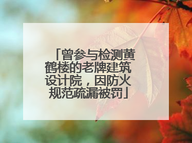 曾参与检测黄鹤楼的老牌建筑设计院，因防火规范疏漏被罚