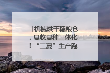 机械烘干稳粮仓，夏收夏种一体化！“三夏”生产跑出加速度｜麦报