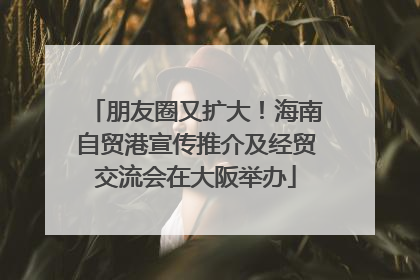 朋友圈又扩大！海南自贸港宣传推介及经贸交流会在大阪举办