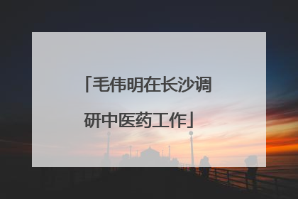 毛伟明在长沙调研中医药工作