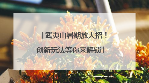武夷山暑期放大招！创新玩法等你来解锁