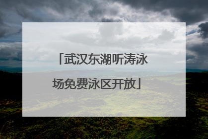 武汉东湖听涛泳场免费泳区开放