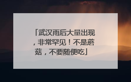 武汉雨后大量出现，非常罕见！不是蘑菇，不要随便吃