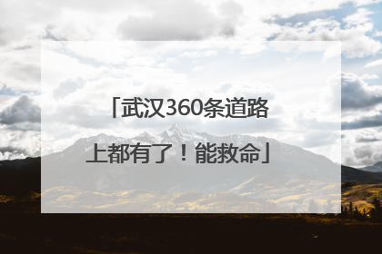 武汉360条道路上都有了！能救命