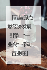 武陵源点燃经济发展引擎 “一业兴”带动百业旺