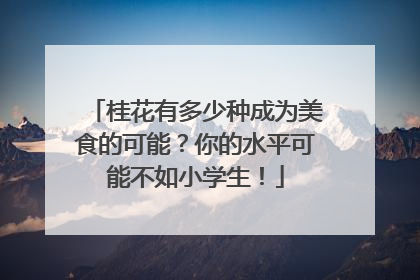 桂花有多少种成为美食的可能？你的水平可能不如小学生！
