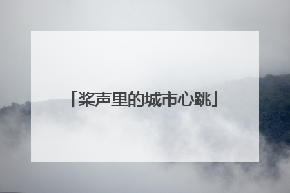 桨声里的城市心跳