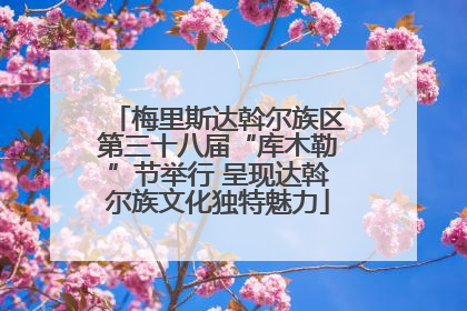 梅里斯达斡尔族区第三十八届“库木勒”节举行 呈现达斡尔族文化独特魅力