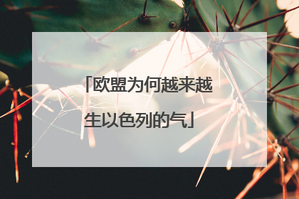 欧盟为何越来越生以色列的气