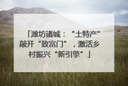 潍坊诸城：“土特产”敲开“致富门”，激活乡村振兴“新引擎”