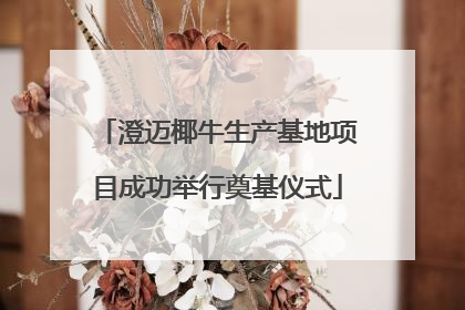 澄迈椰牛生产基地项目成功举行奠基仪式