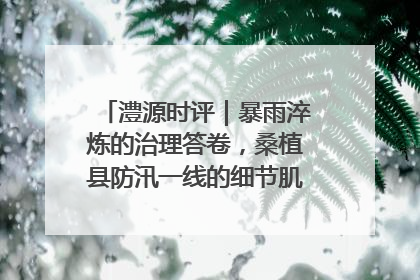 澧源时评｜暴雨淬炼的治理答卷，桑植县防汛一线的细节肌理与体系力量