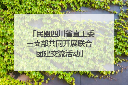 民盟四川省直工委三支部共同开展联合团建交流活动
