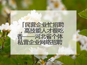 民营企业忙招聘，高技能人才很吃香——河北省个体私营企业网络招聘大会扫描