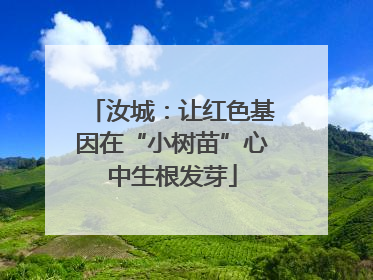 汝城：让红色基因在“小树苗”心中生根发芽