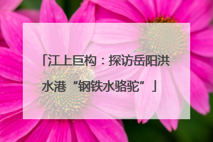 江上巨构：探访岳阳洪水港“钢铁水骆驼”
