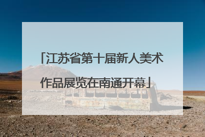 江苏省第十届新人美术作品展览在南通开幕