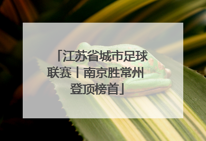 江苏省城市足球联赛丨南京胜常州 登顶榜首