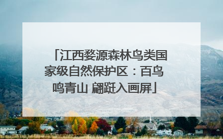江西婺源森林鸟类国家级自然保护区：百鸟鸣青山 翩跹入画屏