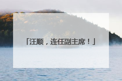 汪顺，连任副主席！