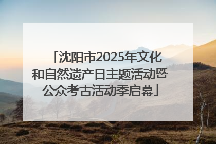 沈阳市2025年文化和自然遗产日主题活动暨公众考古活动季启幕