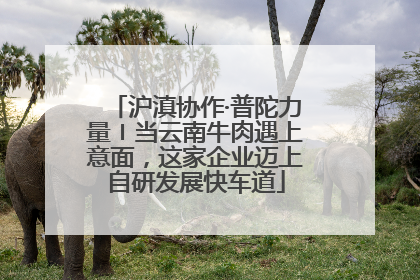 沪滇协作·普陀力量〡当云南牛肉遇上意面，这家企业迈上自研发展快车道