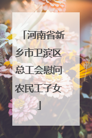 河南省新乡市卫滨区总工会慰问农民工子女