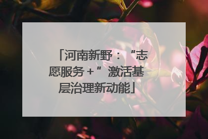 河南新野：“志愿服务＋”激活基层治理新动能