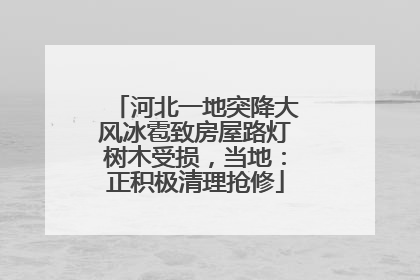 河北一地突降大风冰雹致房屋路灯树木受损，当地：正积极清理抢修