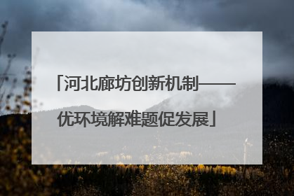 河北廊坊创新机制——优环境解难题促发展