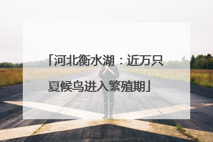 河北衡水湖：近万只夏候鸟进入繁殖期