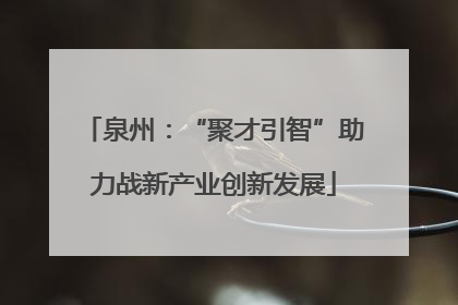 泉州：“聚才引智”助力战新产业创新发展