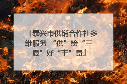 泰兴市供销合作社多维服务 “供”绘“三夏”好“丰”景