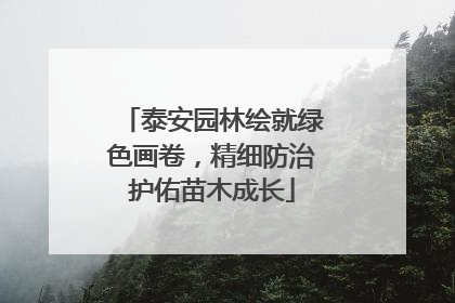 泰安园林绘就绿色画卷，精细防治护佑苗木成长