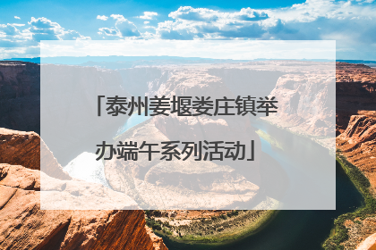泰州姜堰娄庄镇举办端午系列活动
